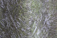 Moorhey fibreglass roof work